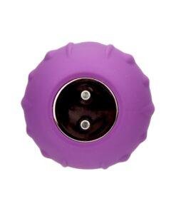 loving joy rose licking clitoral vibrator purple