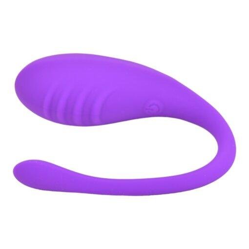 Loving Joy Remote Controlled Love Egg Vibrator - Image 6