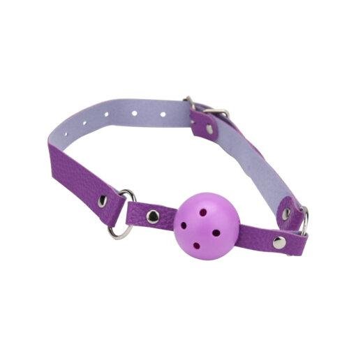 n12279 bound to play bondage kit purple 11 piece ball gag