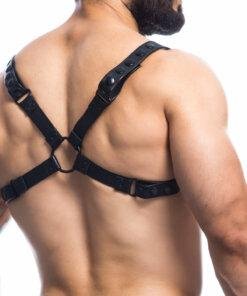 n12340 c4m h4rness black party harness os 2 scaled 1