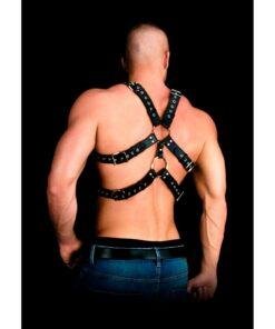 n12656 andres masterpiece bonded leather harness os 1