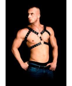 n12656 andres masterpiece bonded leather harness os 4