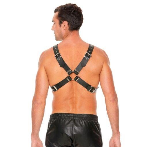 Leather Harness with Large Buckle - One Size - Image 3