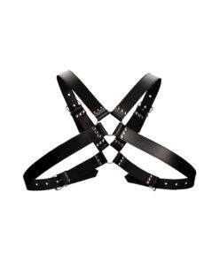 n12657 leather harness wlarge buckle os 5