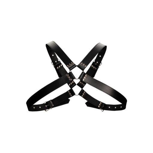 Leather Harness with Large Buckle - One Size - Image 6