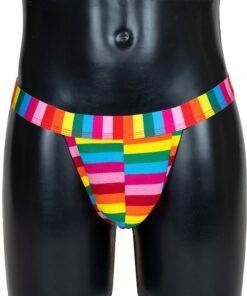 n11208 rainbow mens thong 3