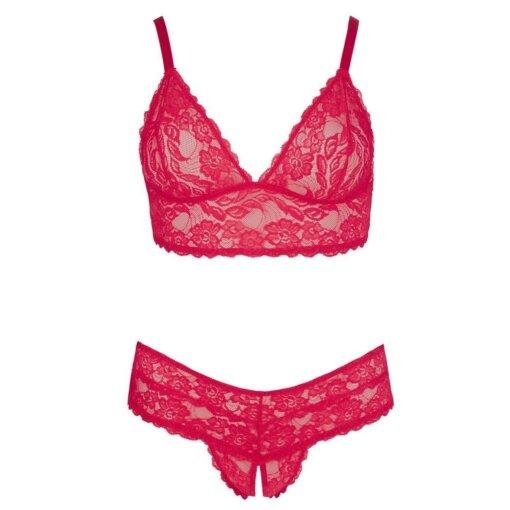 Cottelli Plus Size Red Lace Bra And Briefs - Image 4