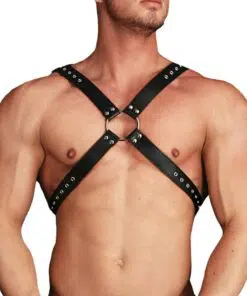 Ouch Adonis High Halter Harness